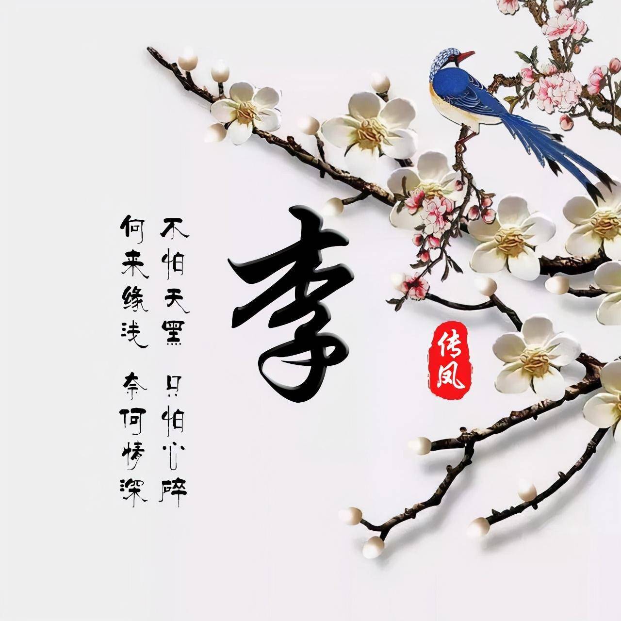 洛枫的头像-江博客