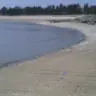 小卡